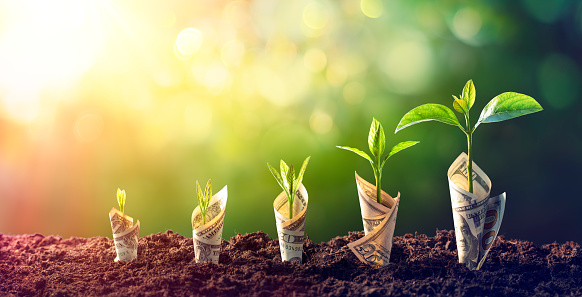Can You Use Purchase Order Financing to Grow Your Business?