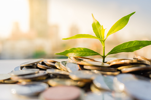 How Asset-Based Lines of Credit Help Growing Businesses